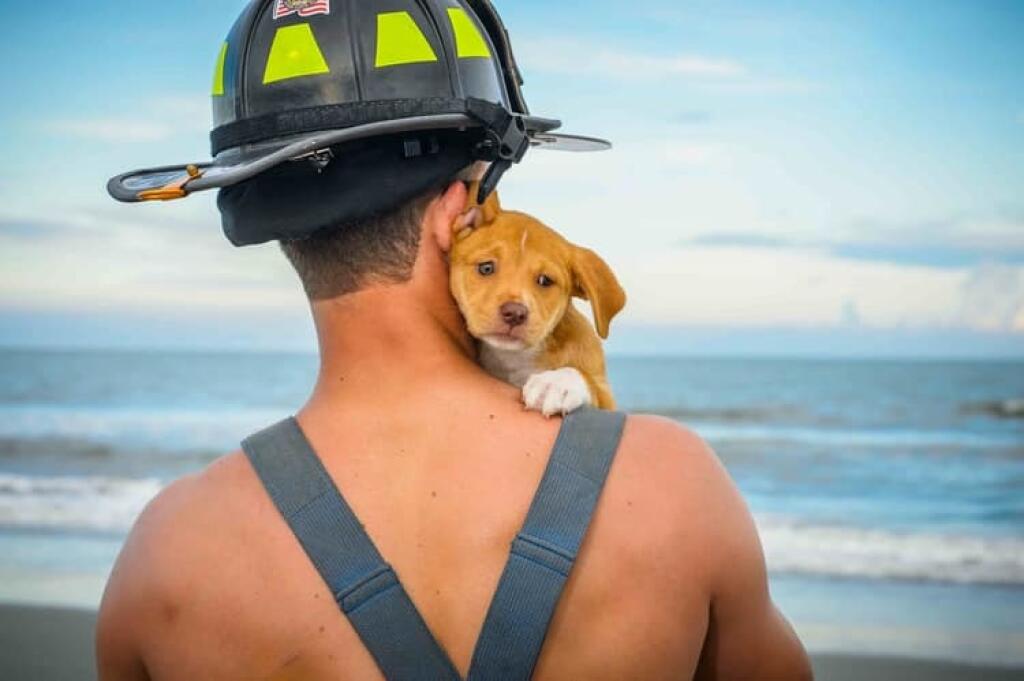 Muži, ktorí bojujú s ohňom a zachraňujú životy sú pekelne HOT! Požiarnici z Južnej Karolíny si povedali, že budú pomáhať ešte viac a nafotili kalendár, ktorý bude už druhý rok pomáhať opusteným a zraneným zvieratám.