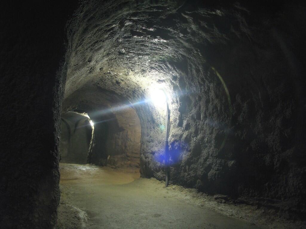 Na Morave a v Dolnom Rakúsku je v plnom prúde vinohradnícka jeseň.