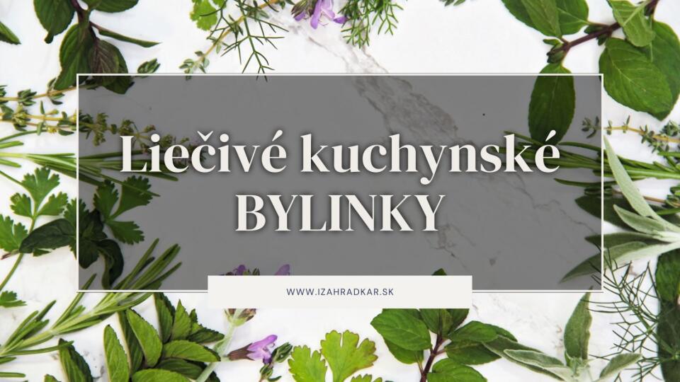 Liečivé kuchynské bylinky