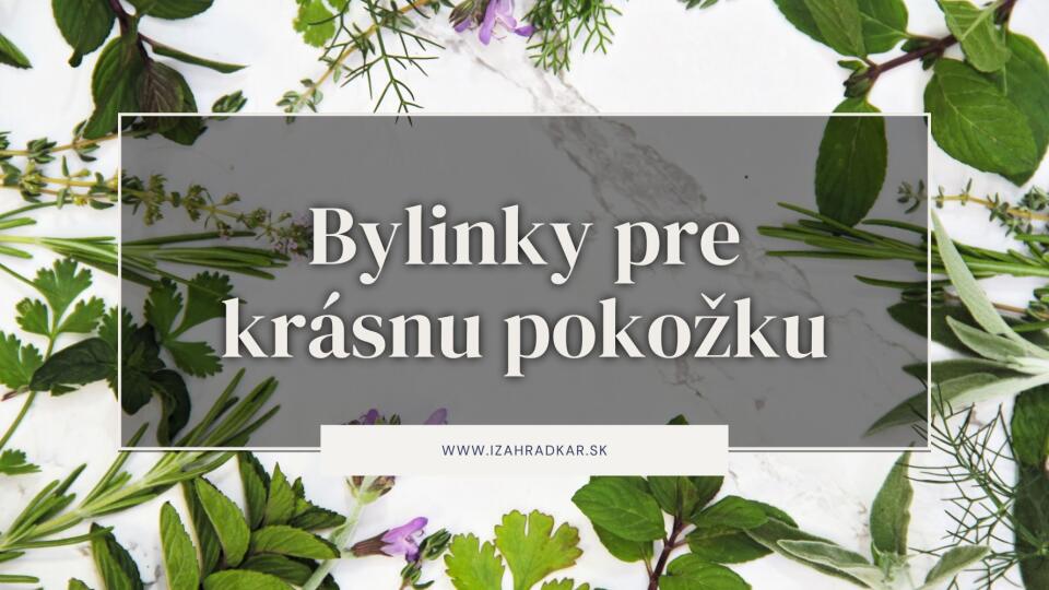 Bylinky