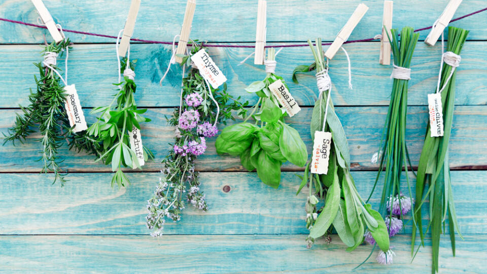 Assorted,Hanging,Herbs,On,An,Old,And,Vintage,Wooden,Blue