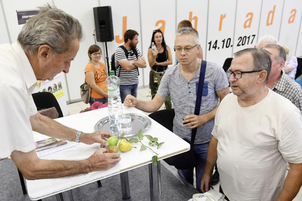 Profesor HRIČOVSKÝ sa dá do reči s každým, kto je ochotný počúvať jeho rady.