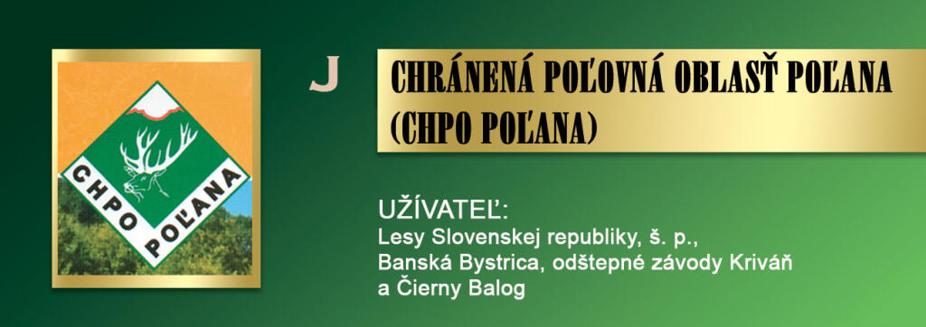 Polana