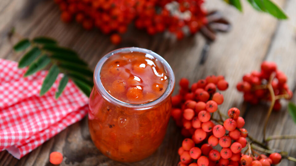 Homemade ashberry jam in glass jar