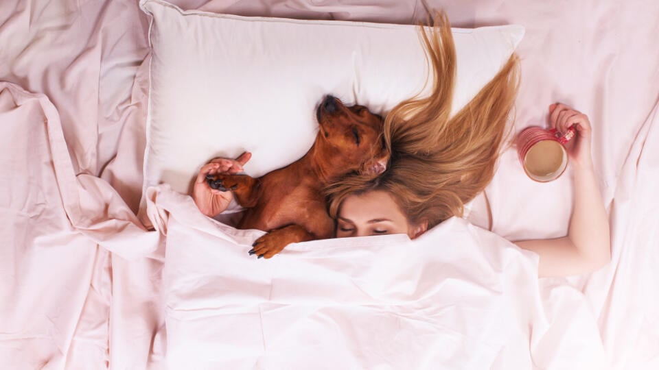 Relaxed,Girl,In,Bed,Sleep,With,Your,Favorite,Dog