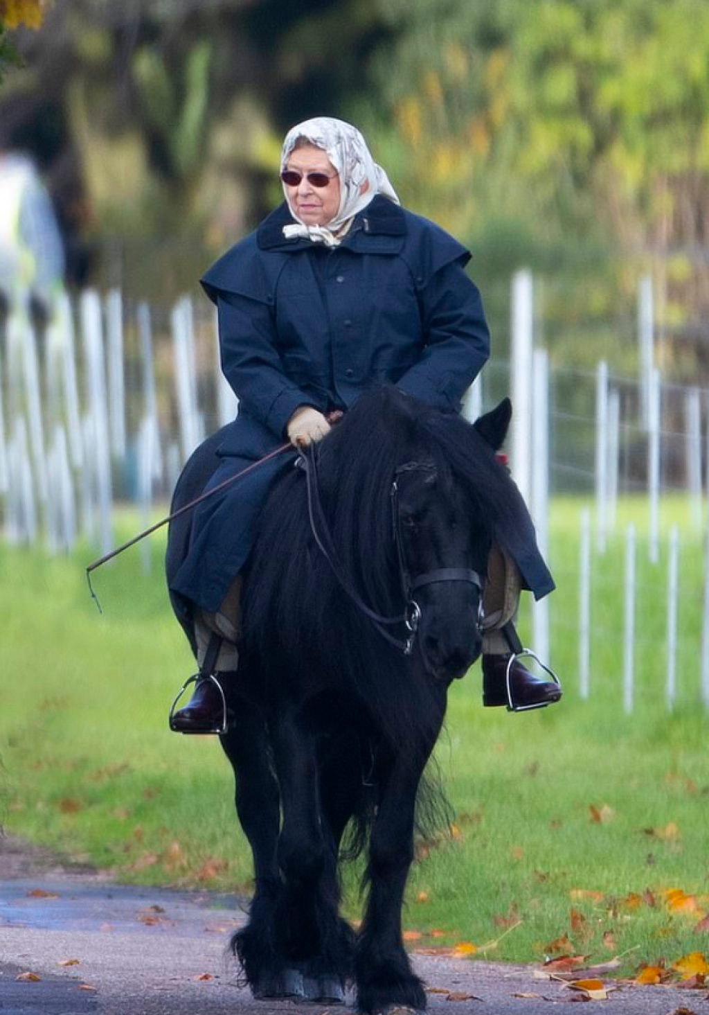 2019 - Queen Elizabeth ages visibly.  However, horseback riding is not a problem for her.