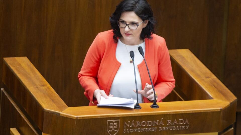 SR NRSR 42.schôdza Lubyová MŠVVaŠ odvolávanie BAX