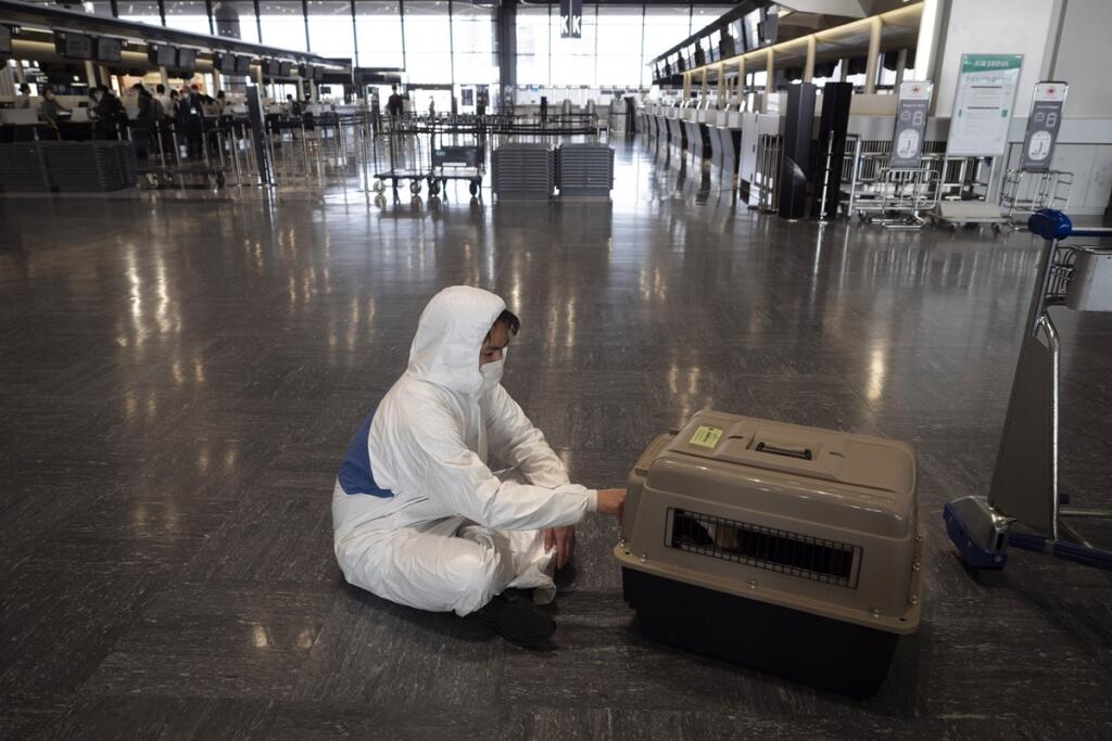 Tokijské letisko v čase pandémie koronavírusu