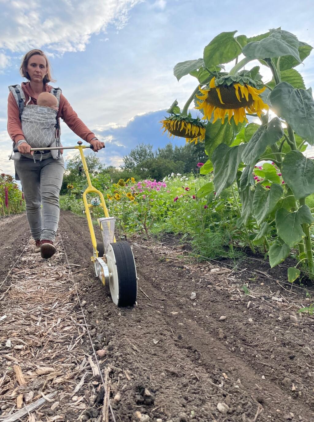 Vegget Microfarm