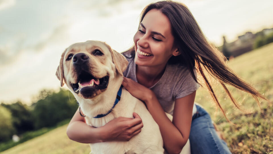 Attractive,Young,Woman,With,Labrador,Outdoors.,Woman,On,A,Green