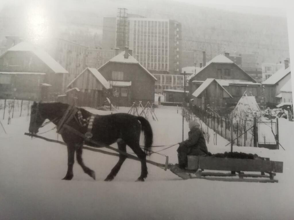 Gazdiná, rok 1970.