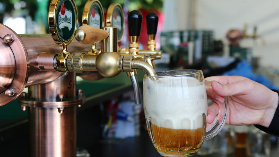 Pivo prichádza o dve dôležité suroviny, ktoré iné nenahradia.