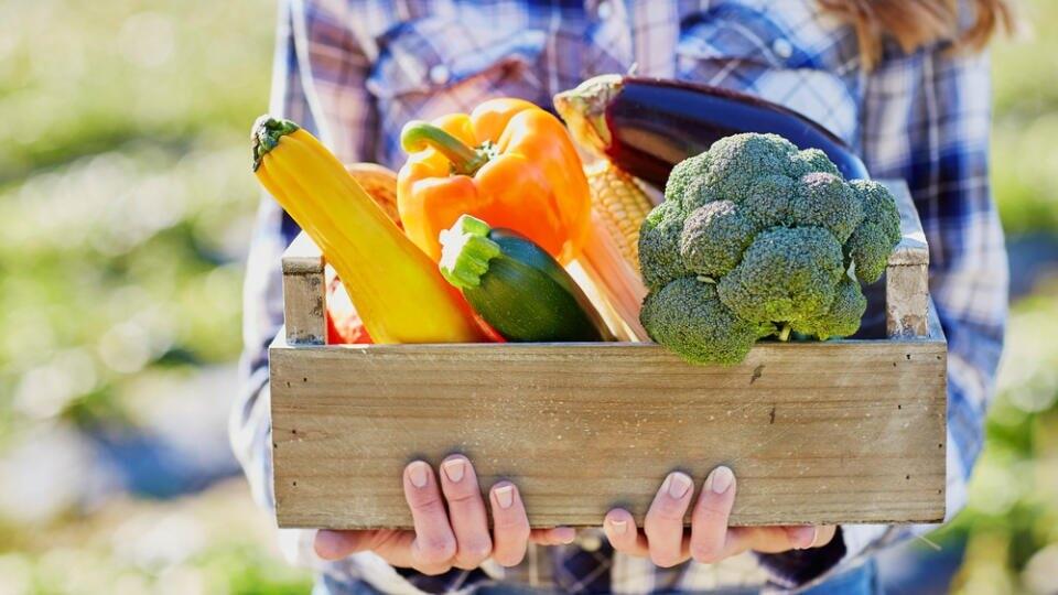 Letným
tekviciam pristanú
aromatické bylinky
ako kôpor, provensalská
zmes, bazalka, petržlen,
estragón
i cesnak.