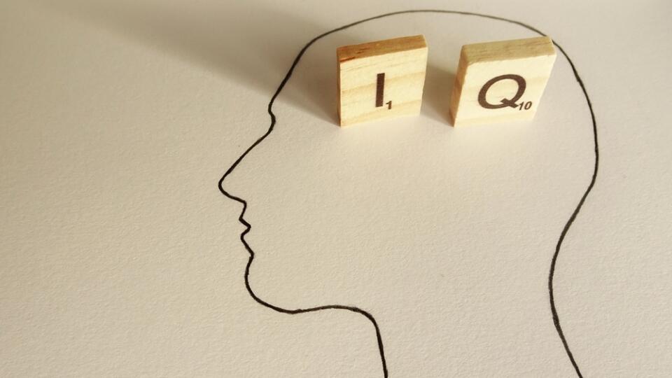 Iq,/,Head,Silhouette,With,`i`,And,`q`,Letters
