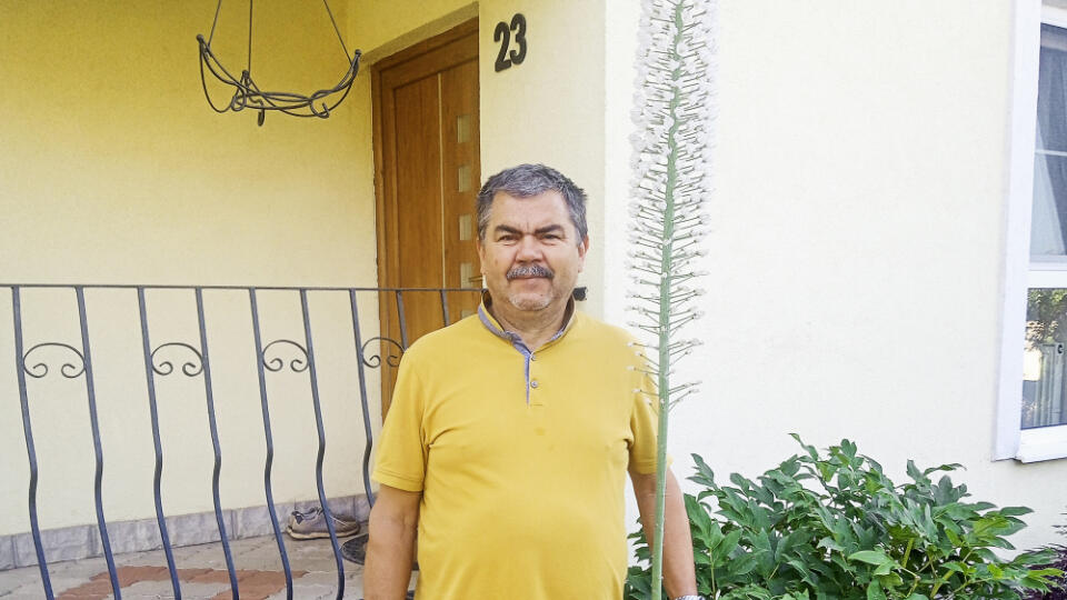 „Naša fakľa úzkolistá, pri posledných kvetoch mala takmer 2,5 metra.“ Gabriel V. Prešov