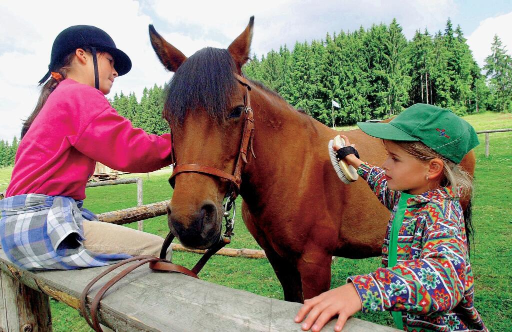 detský tábor, prázdniny
foto: TASR
uverejnené: Šarm 24/2005
pôvodný súbor:BBhucul8.eps