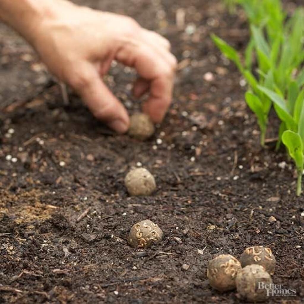 Seed bomby môžete hádzať či ukladať.