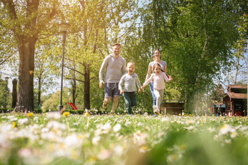 Семья луга. Spring and cheerful Family.