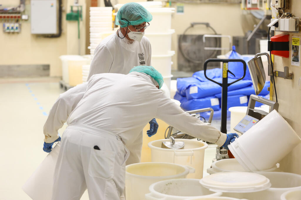 Na snímke zamestnanci pri práci vo fabrike Nestlé Slovensko v pondelok 11. novembra 2024 v Prievidzi. FOTO TASR - Daniel Stehlík