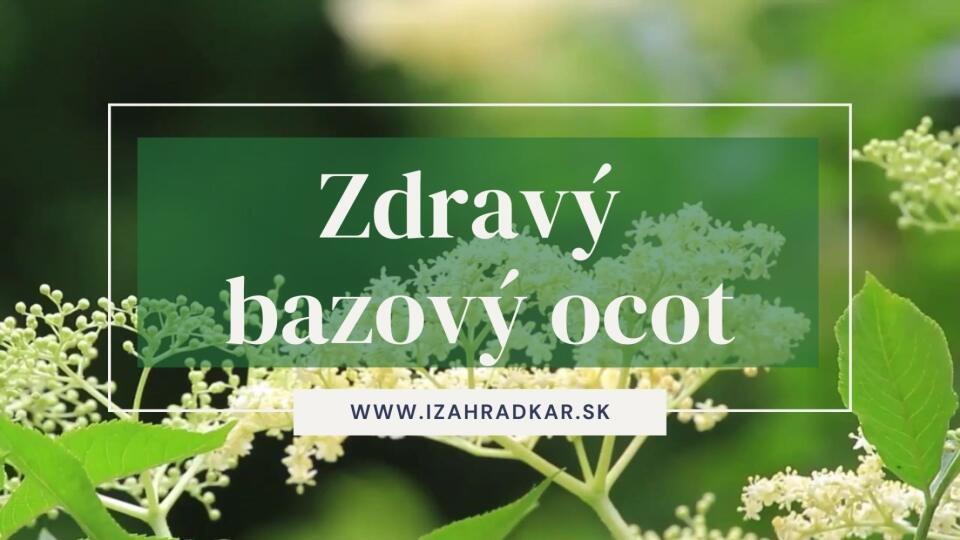Vyrobte si zdravý bazový ocot.