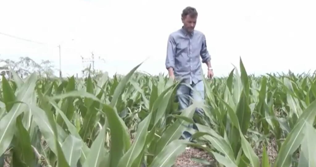 Farmár Carlos Faricelli však chcel, aby kapitána reprezentácie, ktorý doviedol svoju krajinu k tretiemu titulu majstra sveta, bolo vidieť aj z neba. Preto neváhal, navrhol a ešte počas prvého zápasu Argentíny na turnaji so Saudskou Arábiou (1:2) aj spolu s ostatnými farmármi vysadil na poli kukuricu tak, aby sa po jej doraste vytvoril obrovský vizuálny obraz Messiho tváre.