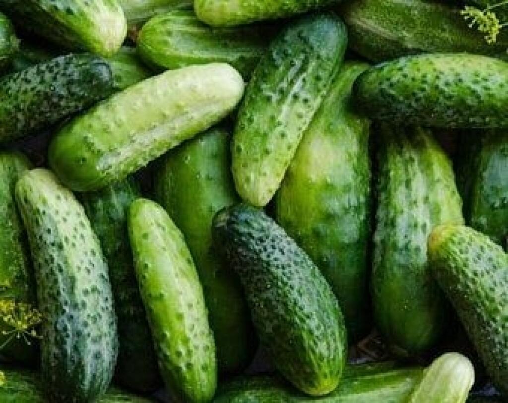 V poslednej dobe si záhradkári obľúbili aj takzvané partenokarpické odrody.