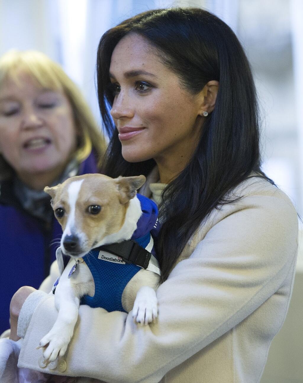 Vojvodkyňa Meghan na návšteve Mayhew v Londýne v roku 2019, kedy sa stala patrónkou organizácie.