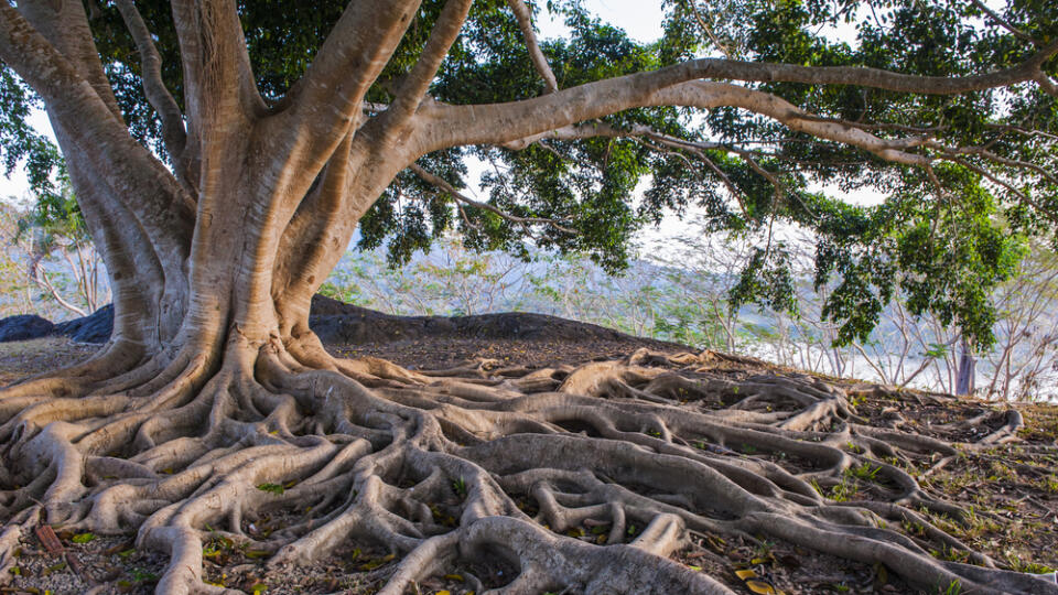Ilustračná fotografia