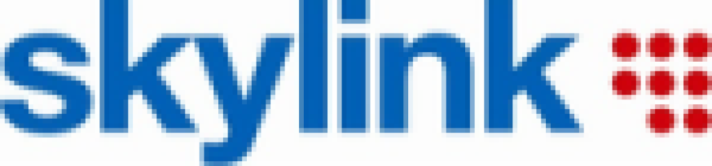 CS Link a Skylink už majú spoločné vedenie