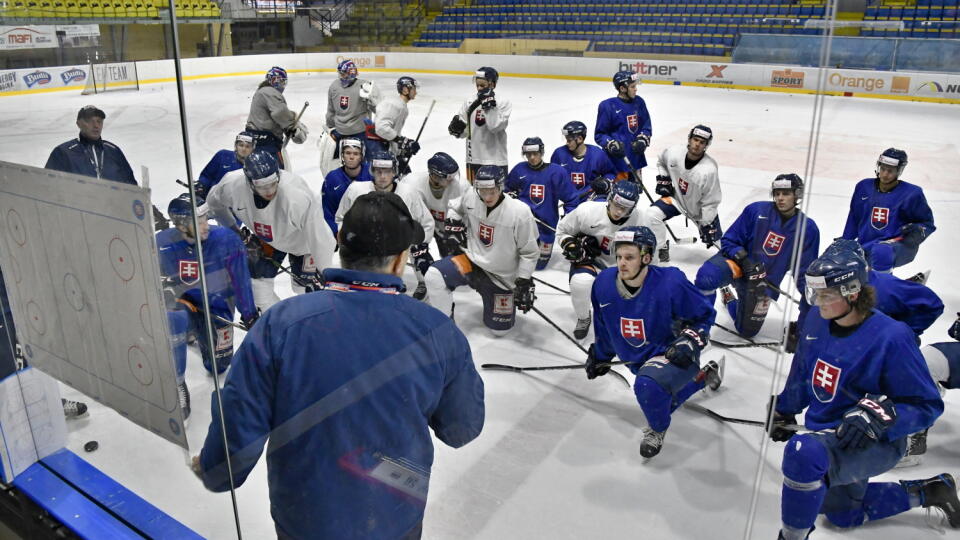 Slovenská hokejová reprezentácia
