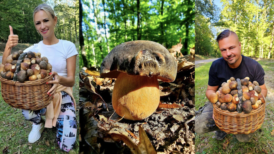 Aj keď je hubárska sezóna už pomaly na konci, niektorí vášniví hubári sa stále pýšia naozaj hojnou zbierkou rôznych druhov hríbov. Medzi nich patrí aj sympatický pár z Nitry - Mirka a Martin. Pozrite sa na tú krásu!