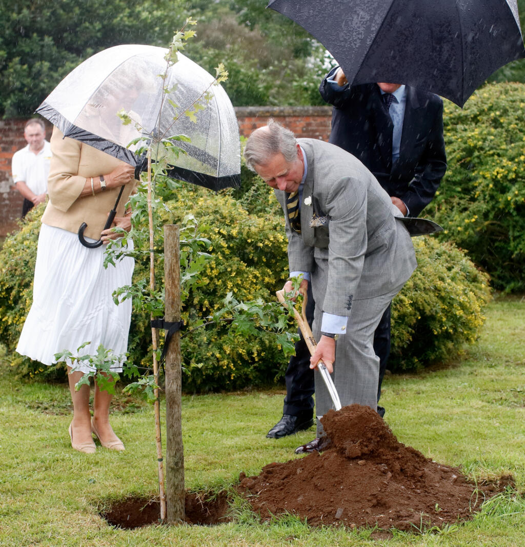 Princ Charles zasadil strom počas návštevy
Austrálie s manželkou Camillou v roku 2018.