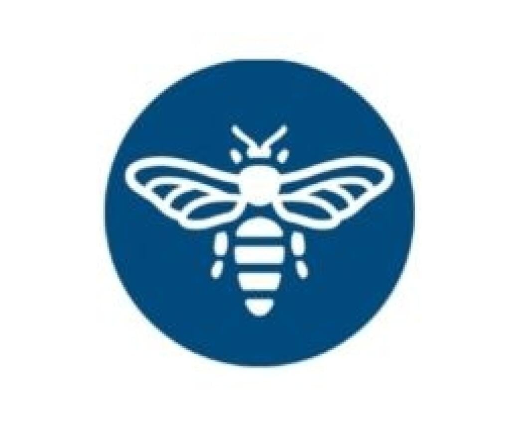 Slovenská sporiteľňa zmení logo. Bude na ňom včela