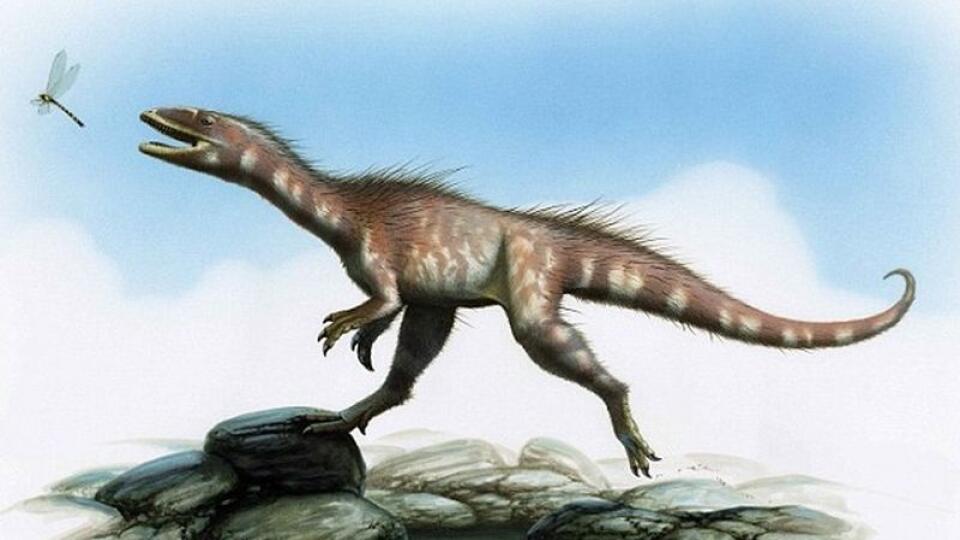 Mäsožravec Theropod  bol dobrým lovcom.