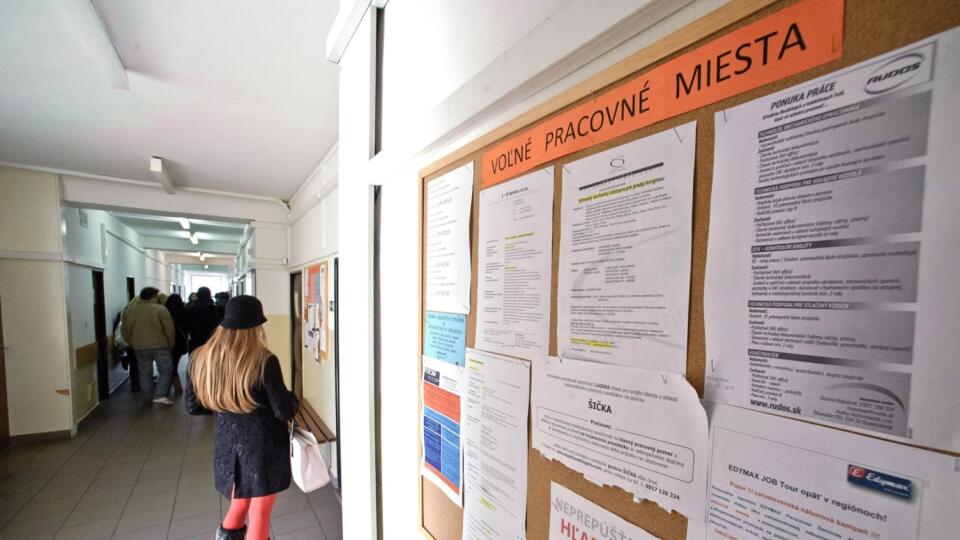 Najlepšie zárobky po škole majú jednoznačne informatici.