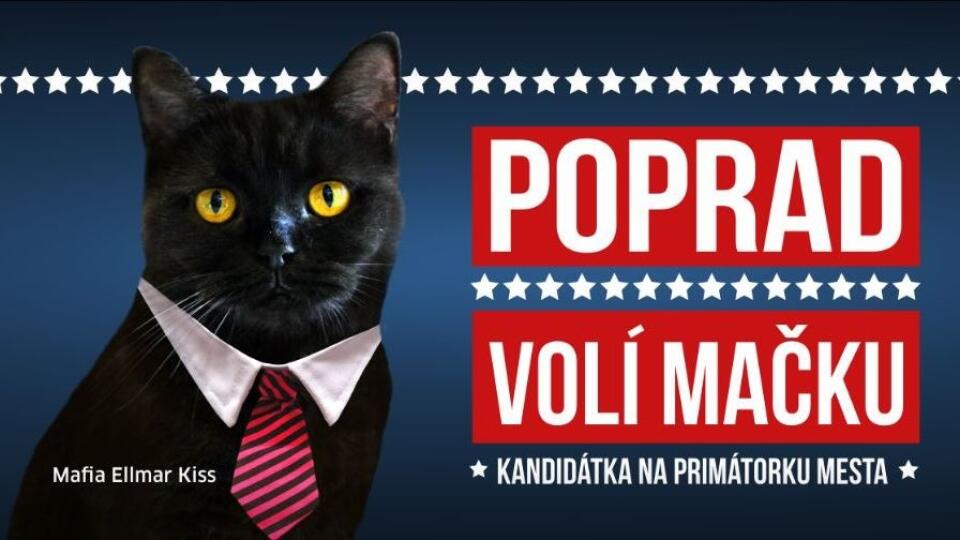 Poprad volí mačku