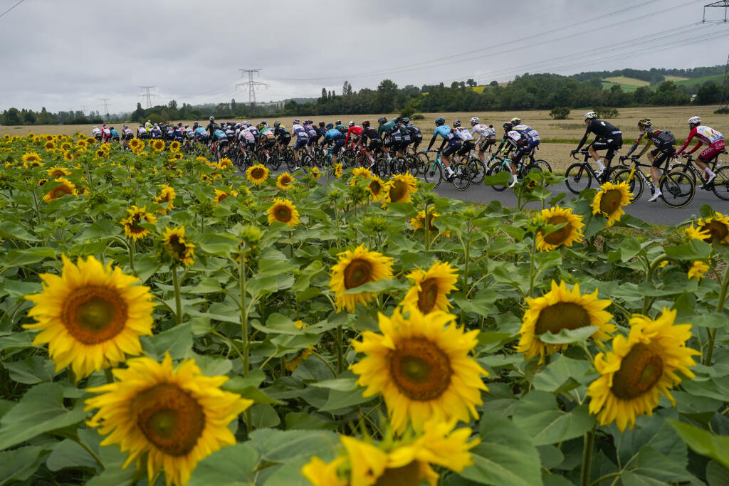 KK2 Col du Portet - Na snímke cyklisti počas 17. etapy cyklistických pretekov Tour de France z Muretu do Col du Portet (178 km) 14. júla 2021. FOTO TASR/AP
The peloton passes a field with sunflowers during the seventeenth stage of the Tour de France cycling race over 178.4 kilometers (110.9 miles) with start in Muret and finish in Saint-Lary-Soulan Col du Portet, France, Wednesday, July 14, 2021. (AP Photo/Daniel Cole)