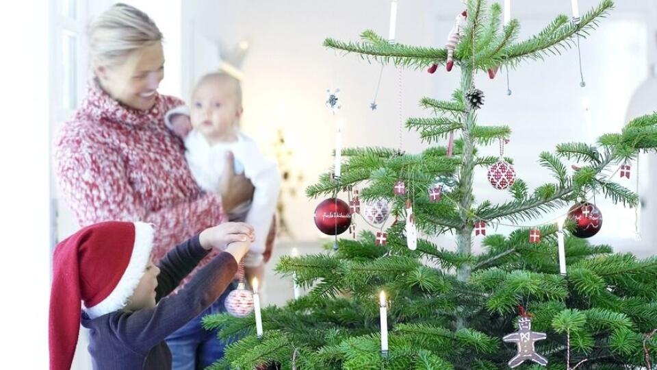 Tipy a triky pri výbere a zdobení stromčeka