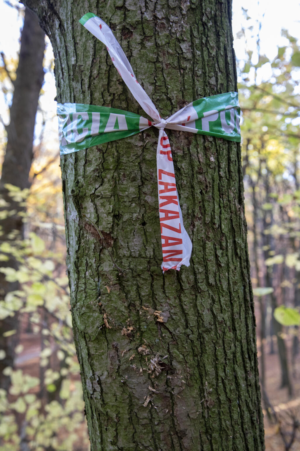 Na snímke miesto tragédie na bratislavskej Kolibe, kde sa obesil Dušan Pašek.