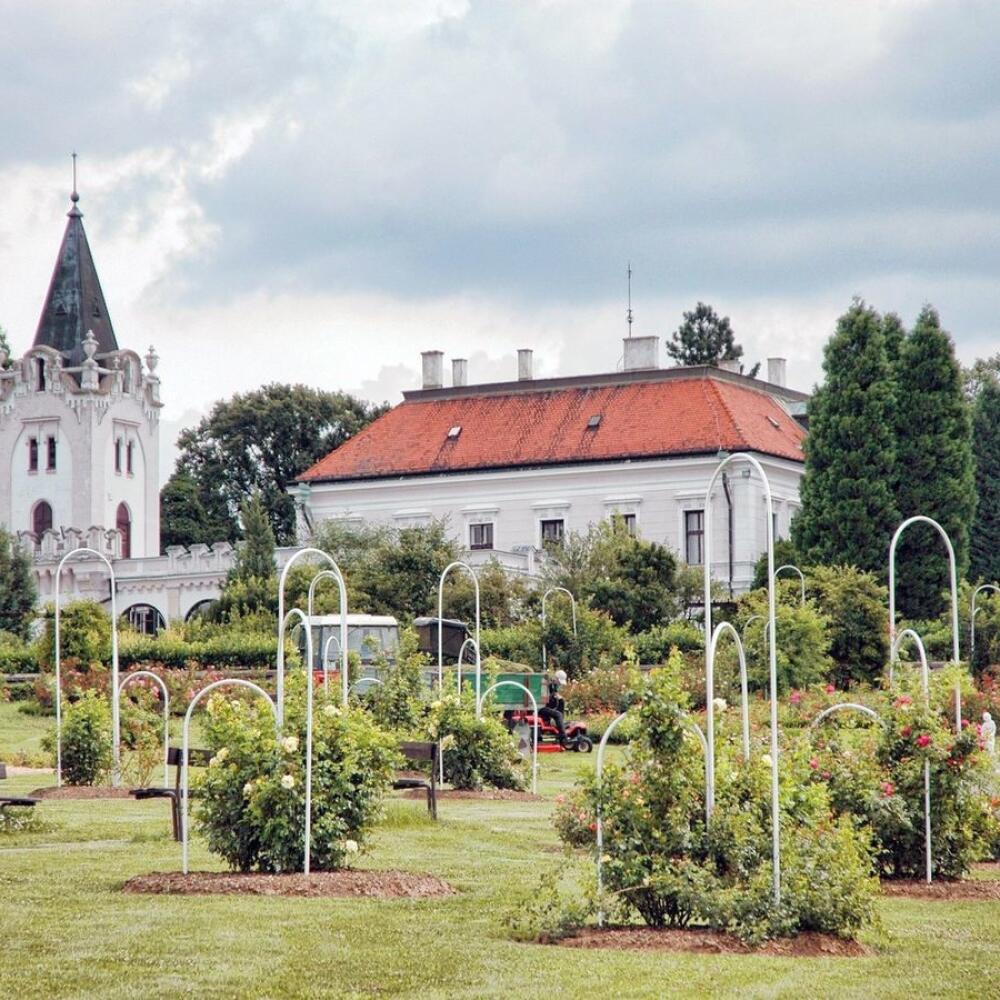 arborétum Mlyňany