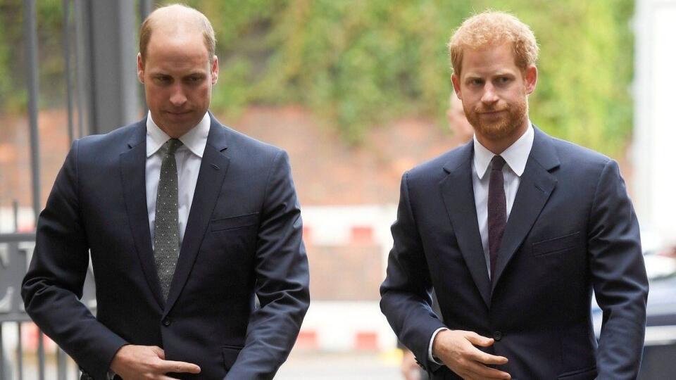 Princ William, princ Harry