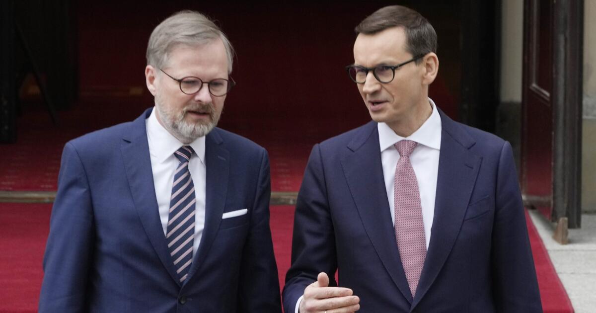 Czechy i Polska wezwały Węgry do potępienia Rosji