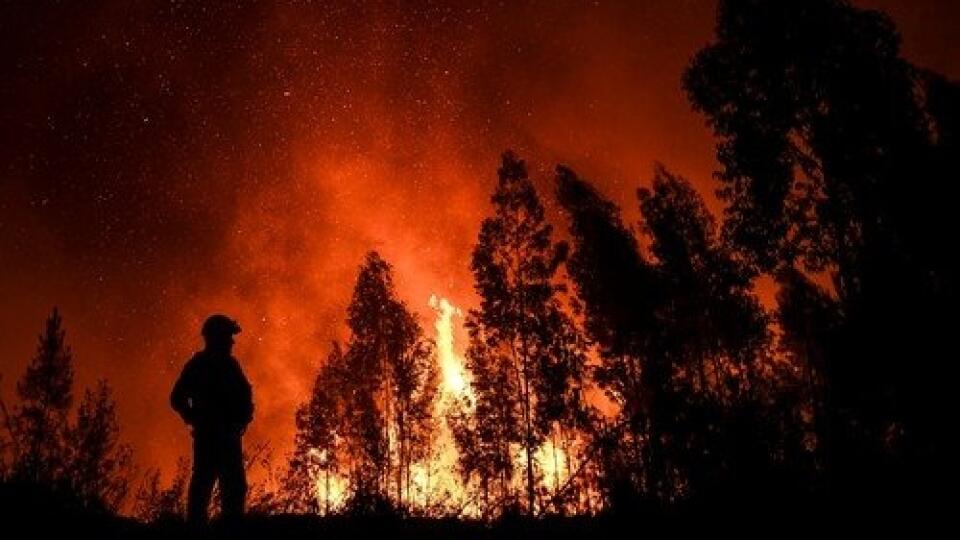 Lesné požiare sú už na 90 percent pod kontrolou