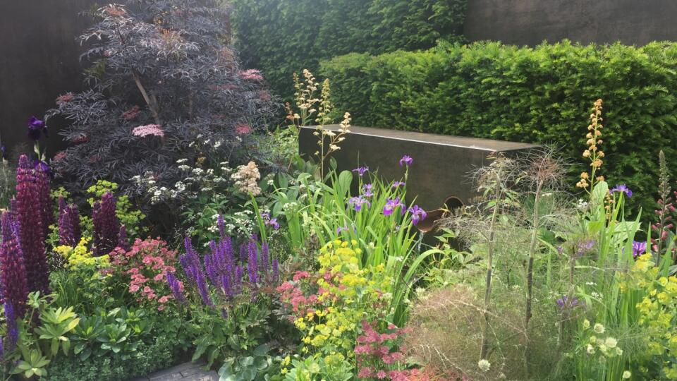 Trvalkový záhon. Chelsea flower show 2018.