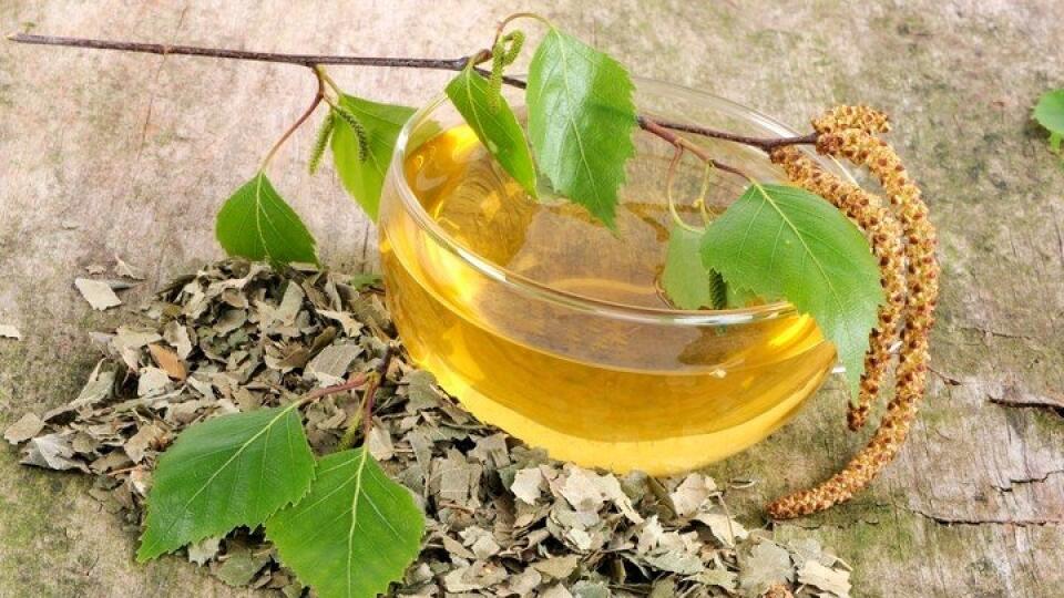 Birch leaf tea in glass cup