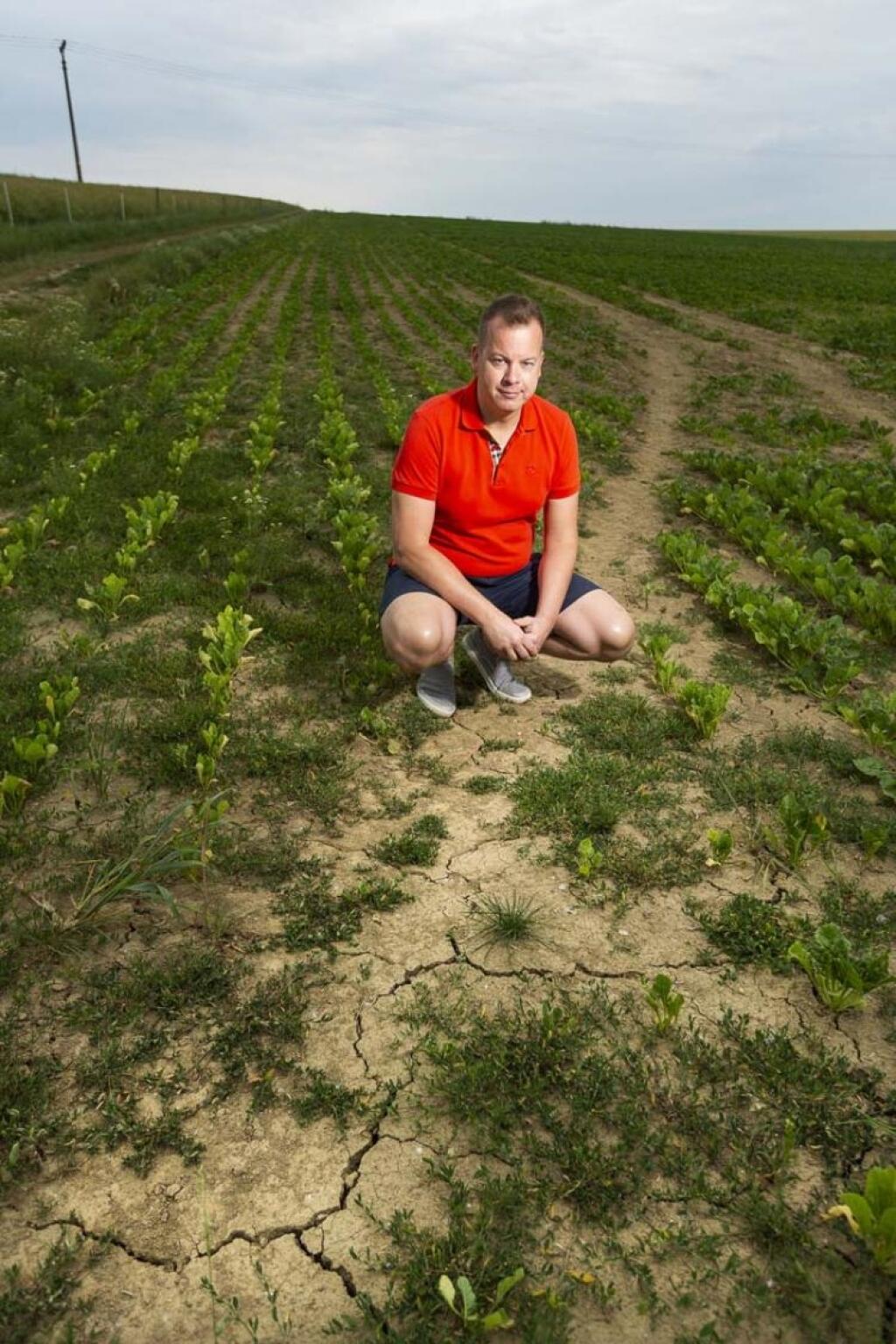 Otepľovanie sa zrýchľuje. Čaká nás klíma ako na severe Chorvátska