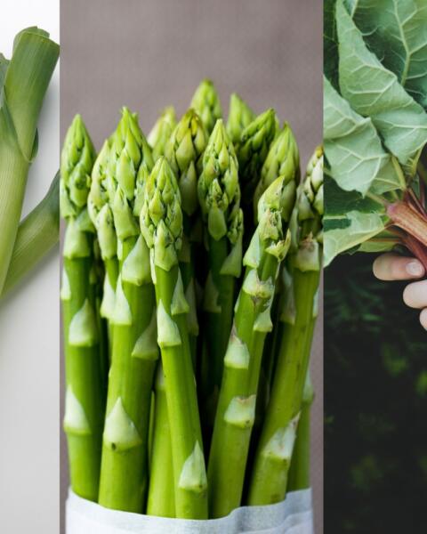 Top 5 sezónnej zeleniny: Tieto bežné chuťovky vám pomôžu aj z jarnej depky!