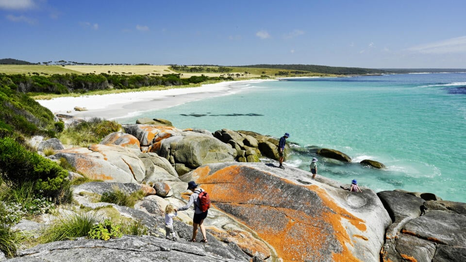 Bay of Fires. Vďaka lišajníku červené žulové balvany uprostred jemného bieleho piesku nájdeme len tu.