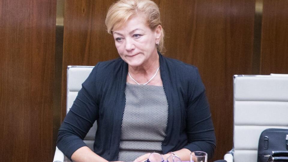 Laššáková vymenila šéfa služobného úradu, chystá sa stretnúť s autormi petície - Na vláde ministerka predložila akčný plán realizácie stratégie rozvoja kultúry