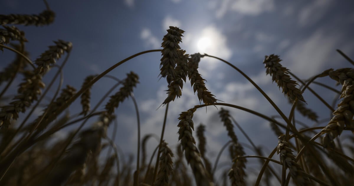 Les dégâts climatiques en République slovaque ont causé des millions de dollars de dégâts